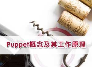 Puppet概念及其工作原理